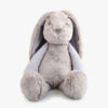 bunny grey