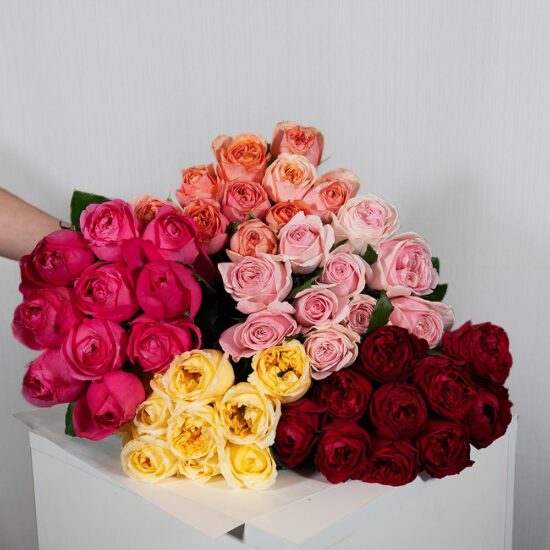 Roses bunch